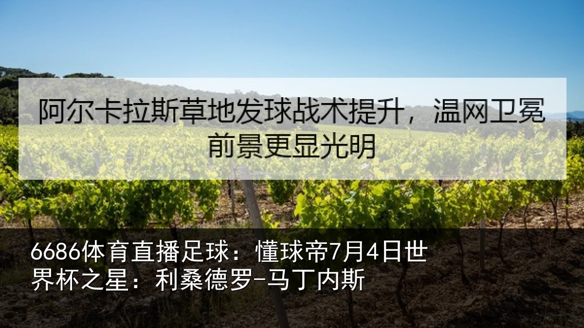 6686体育直播足球：懂球帝7月4日世界杯之星：利桑德罗-马丁内斯